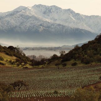 Viña Santa Rita - Maipo Valley